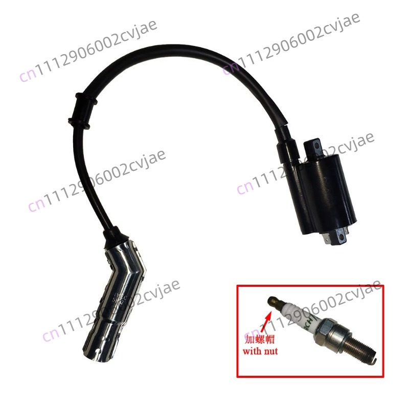 ZT310-V X T R1 2 Motorcycle Hi - Motorcycle Spark Plug review and price